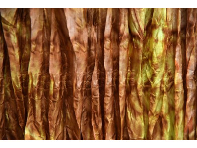 echte zijden krinkelsjaal, kanarigeel, donkerbruin, sepia